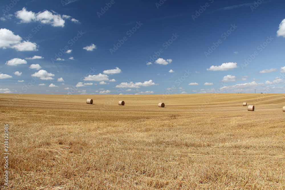That's the end of the summer ... / Harvested wheat field