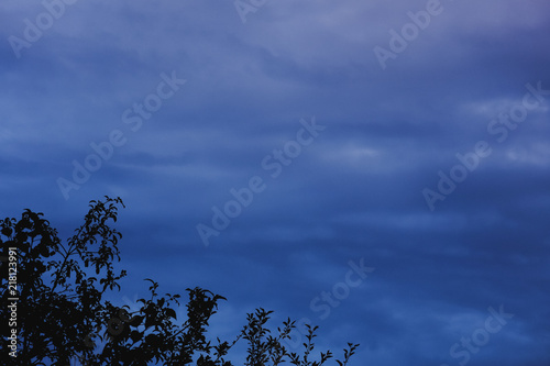 Silhouette of the forest in the night sky