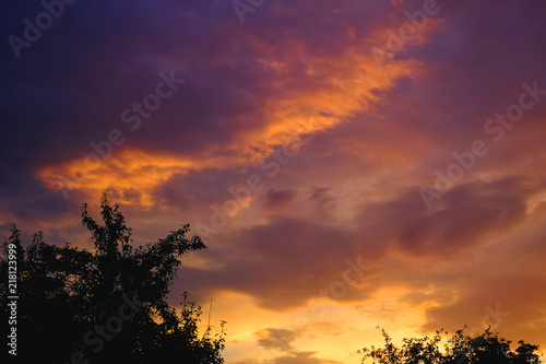 Silhouette of the forest in the night sky