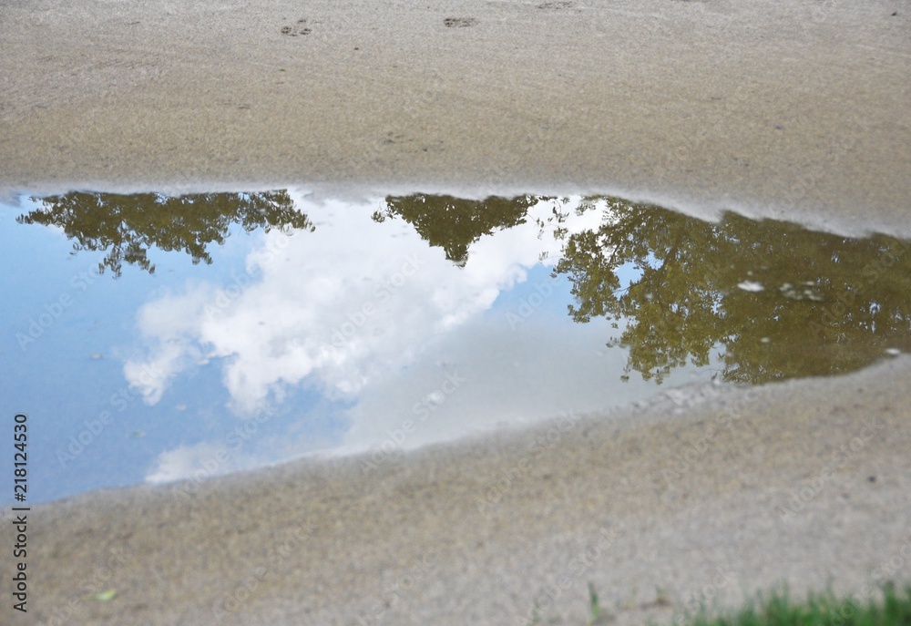 Reflected Sky and Trees