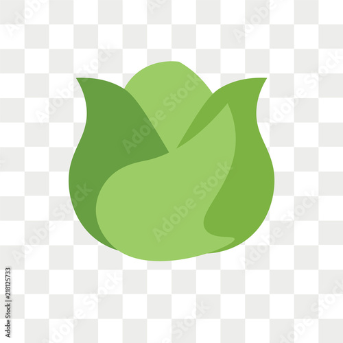 Lettuce vector icon isolated on transparent background, Lettuce logo design