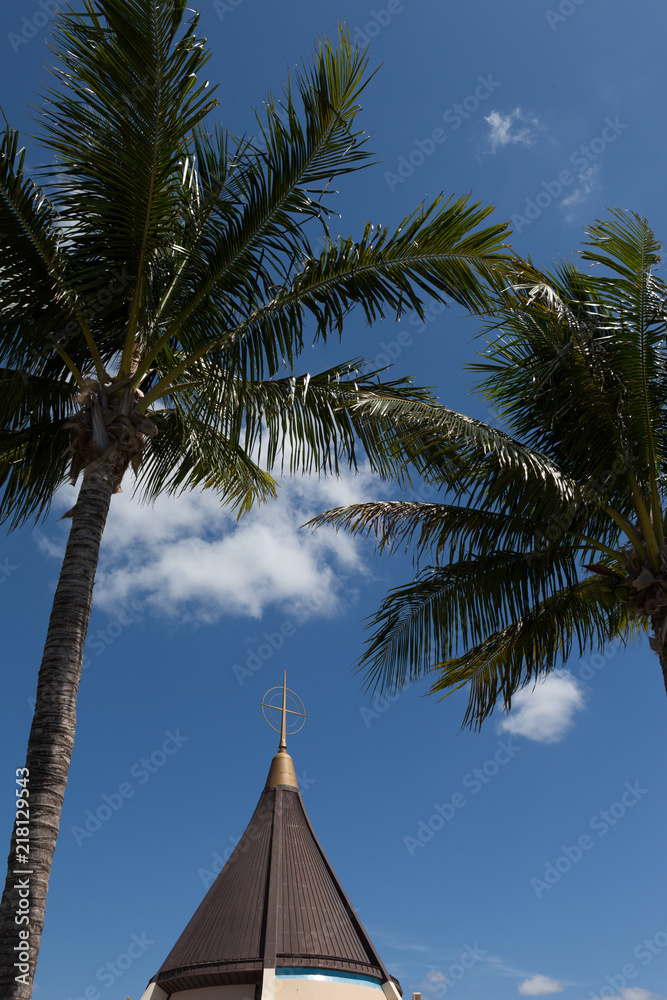 palm