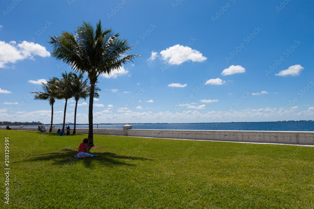 palm