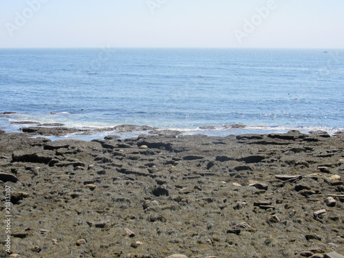 View of the ocean during low tide with seaweed on the rocky shore  © Isabel