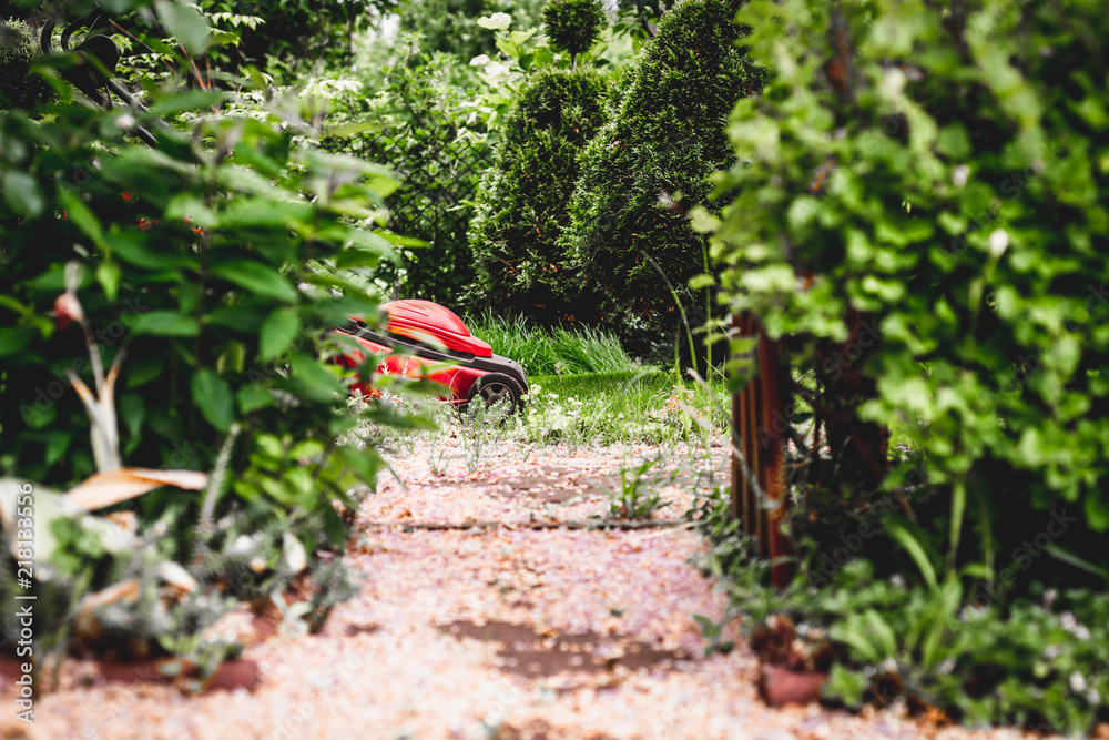 Mowing the grass. The gardener mows the grass with a red electric mower. Work in the garden, spring cleaning. Care for the garden and grass. Mowing the grass. The gardener mows the grass with a red electric mower. Work in the garden, spring cleaning. Care for the garden and grass.