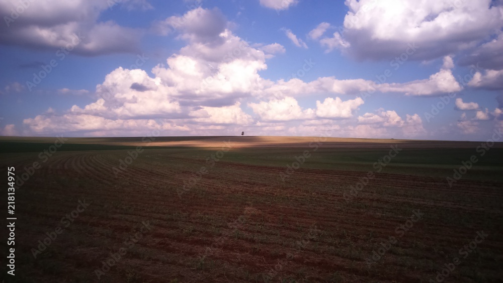 Obraz premium Natureza