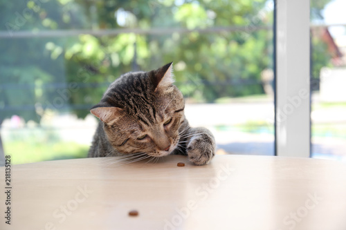 Fototapeta Naklejka Na Ścianę i Meble -  Cute cat reaching for treat on table at home