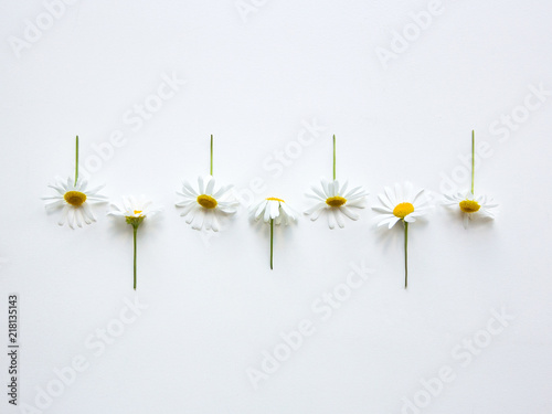 Chamomile Top view Many flowers of chamomile with stems are lying in a row on a white table Photo template