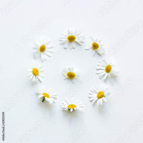 Fototapeta Naklejka Na Ścianę i Meble -  Chamomile Top view Many flowers of chamomile are lying in a round shape on a white table Photo template