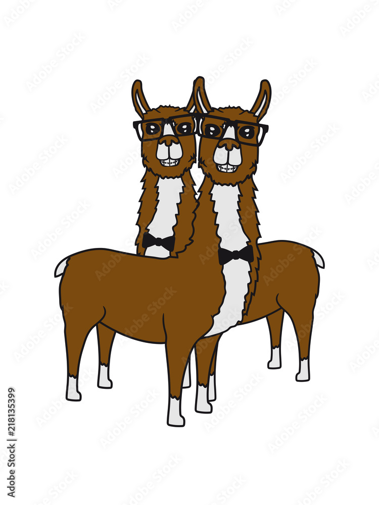 team paar 2 freunde nerd geek freak hornbrille lama kamel alpaka südamerika  tier süß niedlich comic cartoon clipart Stock Illustration | Adobe Stock