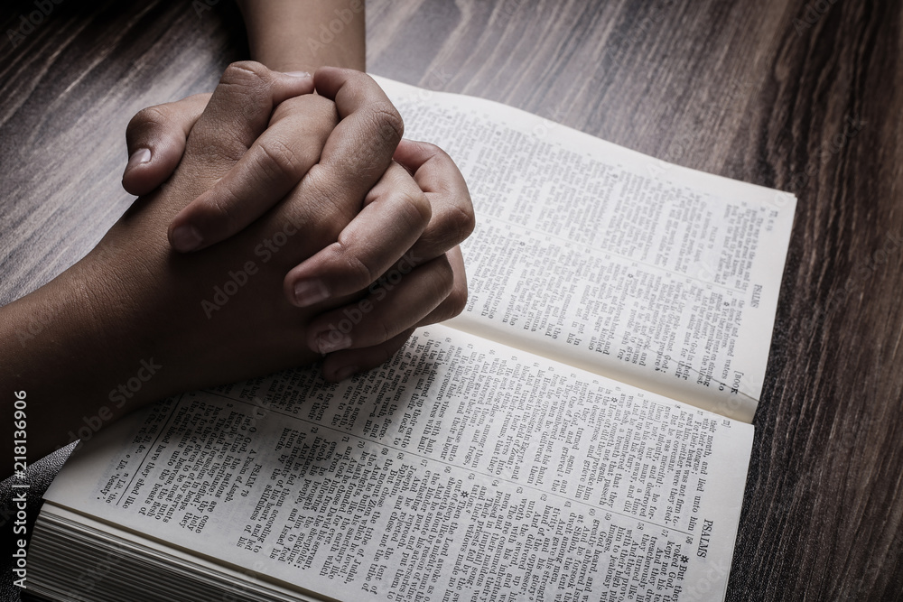 Praying Hands With Holy Bible Stock Photo Adobe Stock