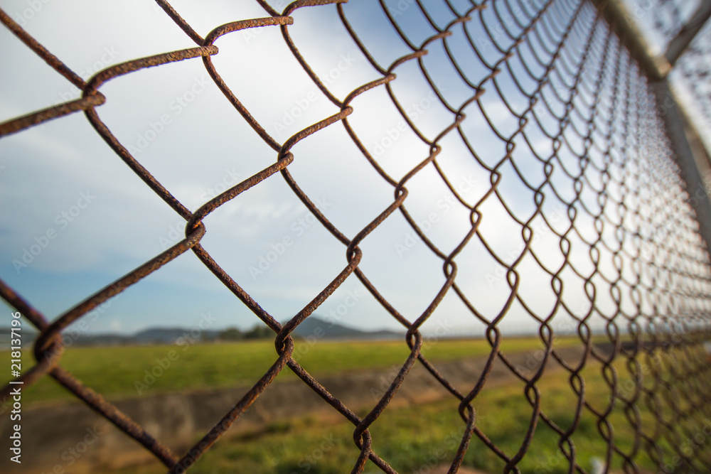 Fototapeta premium wire mesh steel with green grass background in Phuket Thailand