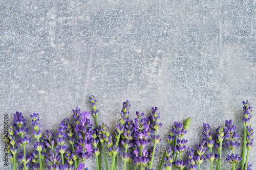 Lavender flowers on gray background. Copy space, top view. Summer background. Copy space, view from above