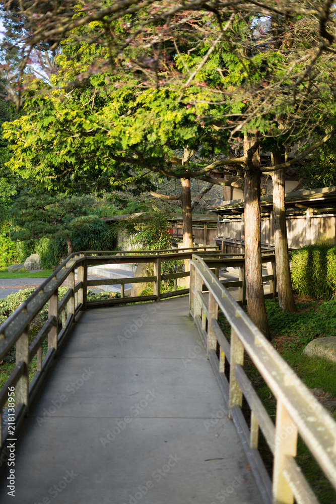 The bridge in Japanese Tea Garden The bridge in Japanese Tea Garden
