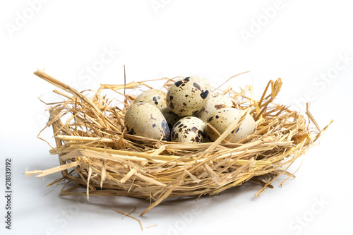 quail eggs in a nest isolated on white