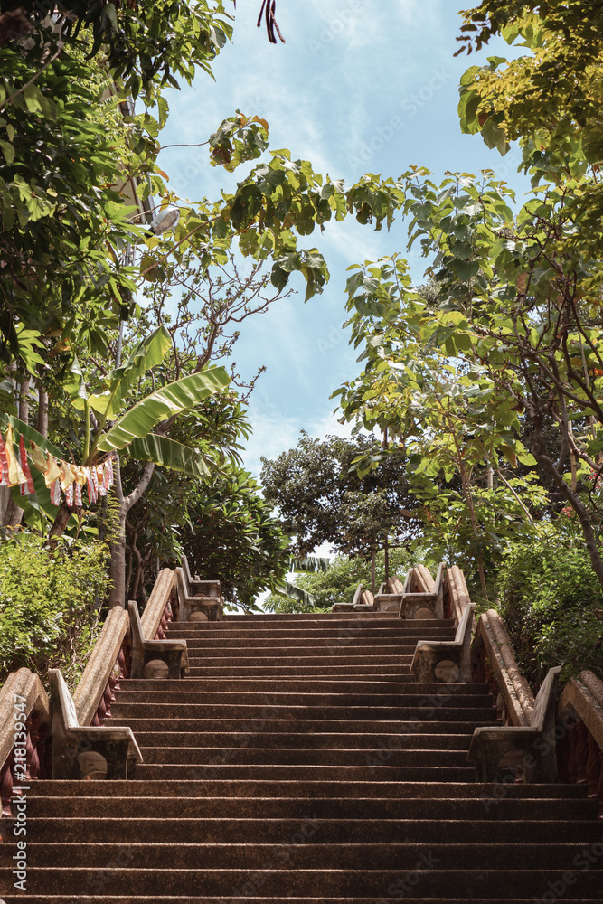 Wide Staircase surronded by Trees Wide Staircase surronded by Trees