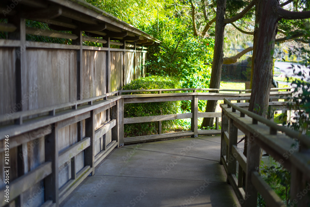 roads in Japanese Tea Garden