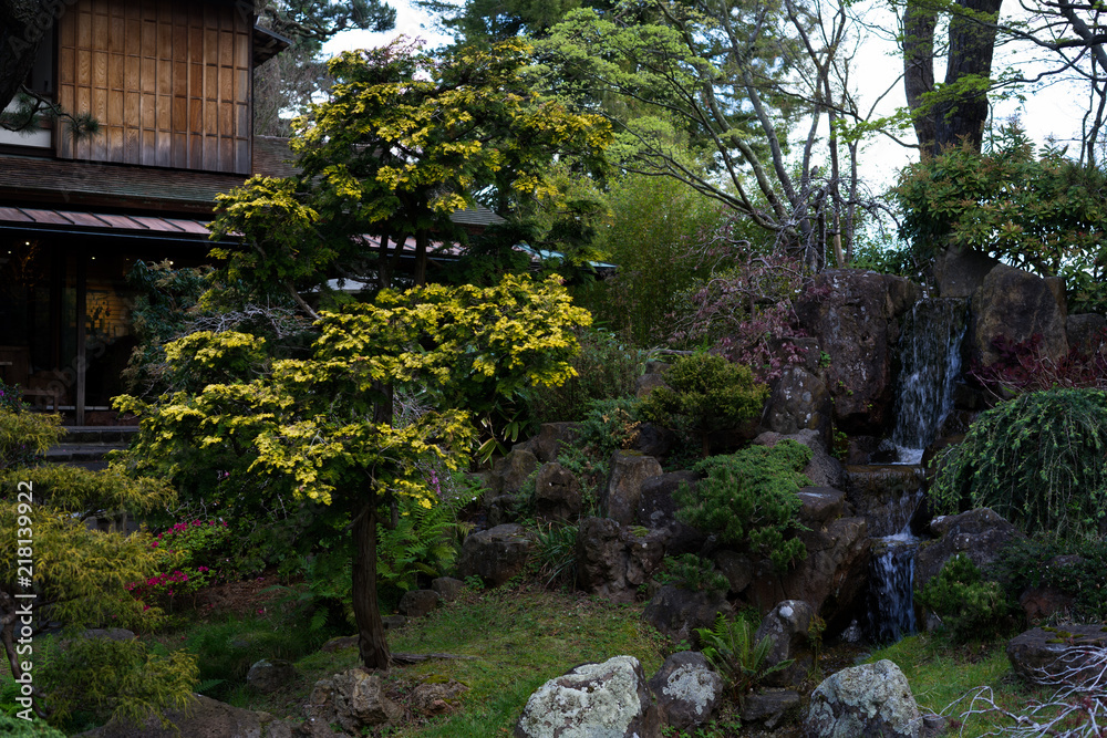 Stores in Japanese Tea Garden