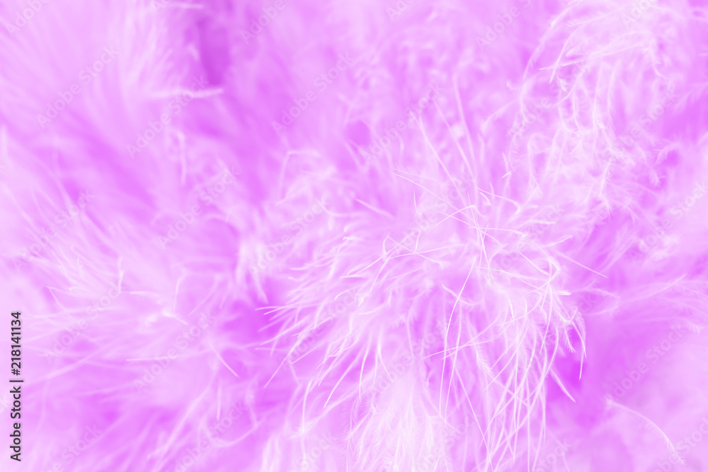 Macro shot of purple bird fluffy feathers in soft and blur style