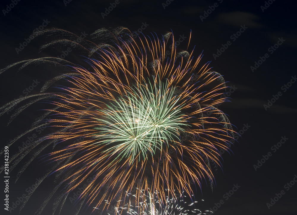 Fototapeta premium 打上げ花火 東京多摩川