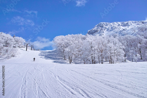 ゲレンデを滑走するスキーヤー   © 7maru