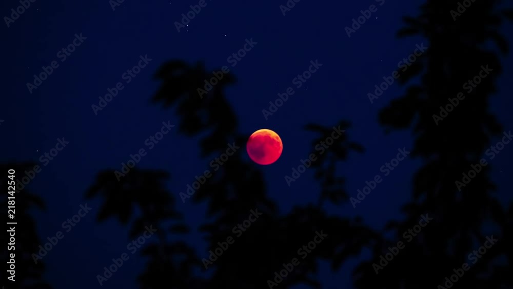 blood moon red full moon timelapse behind tree halloween blood moon red full moon timelapse behind tree halloween