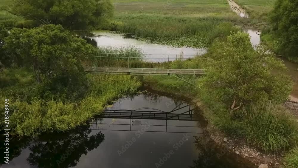 Calm pond with footbridge, and fish surfacing , drone over water , slow shot. Calm pond with footbridge, and fish surfacing , drone over water , slow shot.
