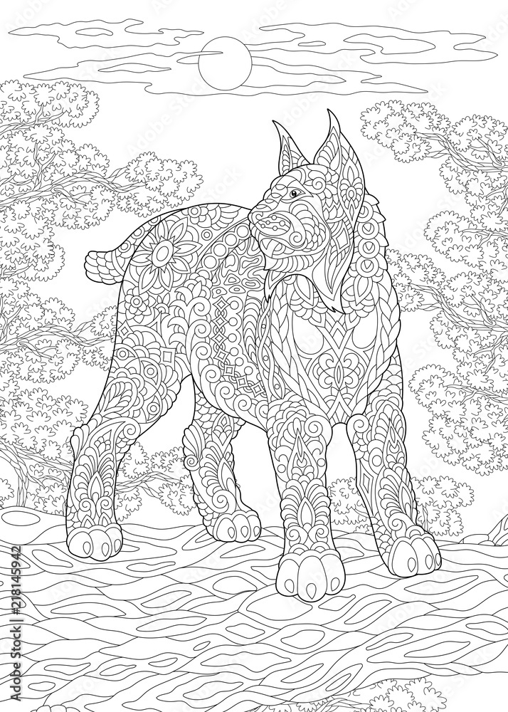 Fototapeta premium Coloring Page. Coloring Book. Colouring picture with wildcat. 