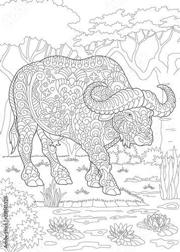 Coloring Page. Coloring Book. Colouring picture with bull (buffalo, bison). 