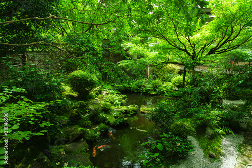 京都 日本庭園 夏 庭園