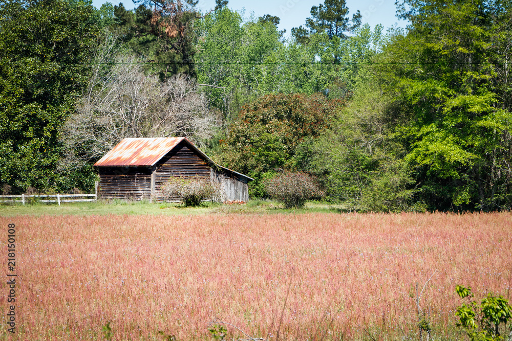 Obraz premium Shed across the field in South Carolina