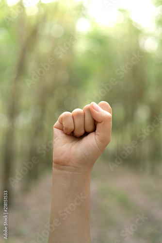 Fist with blur background body language sign fighting sign. © khobenz