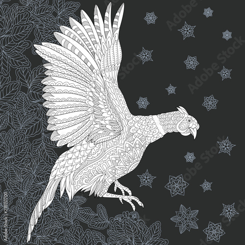 Pheasant coloring book page