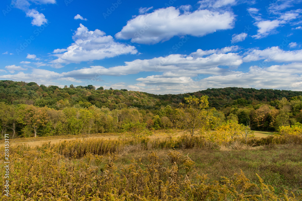 Fall evening with blue skies