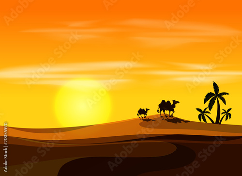 Camel at sunset desert