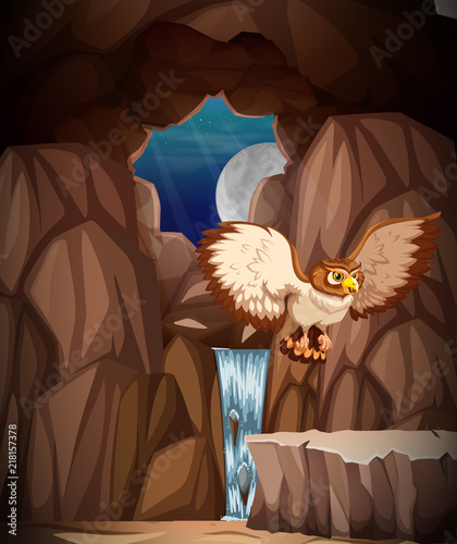 Owl hunting at night in cave