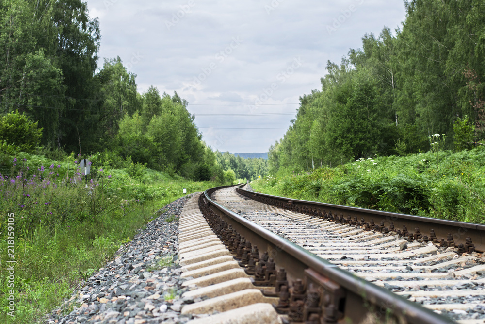 Fototapeta premium Railway track in the forest on a summer day