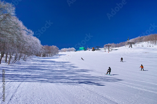 ゲレンデを滑るスノーボーダー