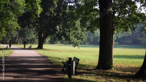 walk in the park