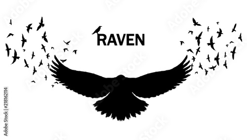 Fotografija Vector image of a silhouette of a raven on a white background