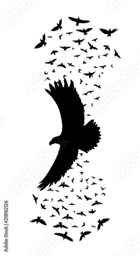 silhouette of a flying raven. vector illustration. vector outline of raven.sticker template