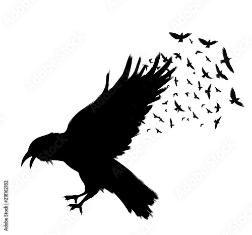 Raven Flying . Black raven isolated on white background. Hand drawn crow.