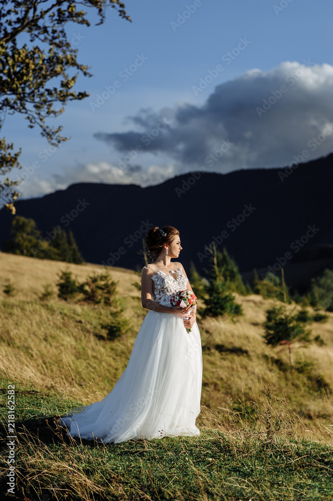 Bride in the mountains. The concept of lifestyle and wedding. Bride in the mountains. The concept of lifestyle and wedding.