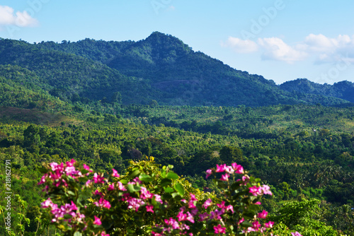 Flowers on the mountain slopes background on a beautiful sunny day. View of rainforest and green mountains. Amazing landscape view. Nature landscape with blue sky and clouds. Selective focus.