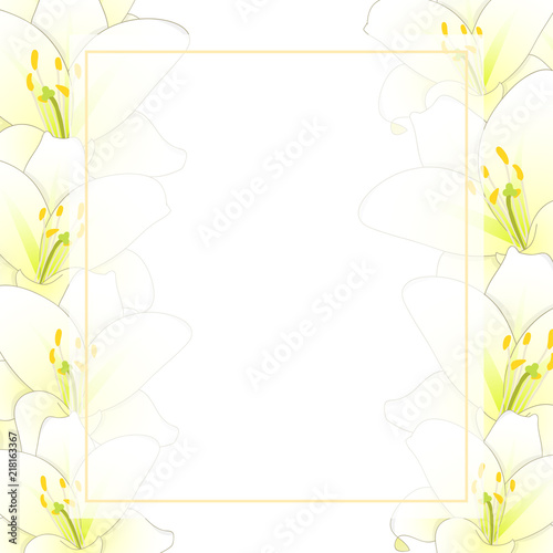 White Lily Flower Banner Card Border