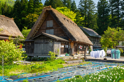 Traditional and Historical Japanese village Shirakawago in sprin