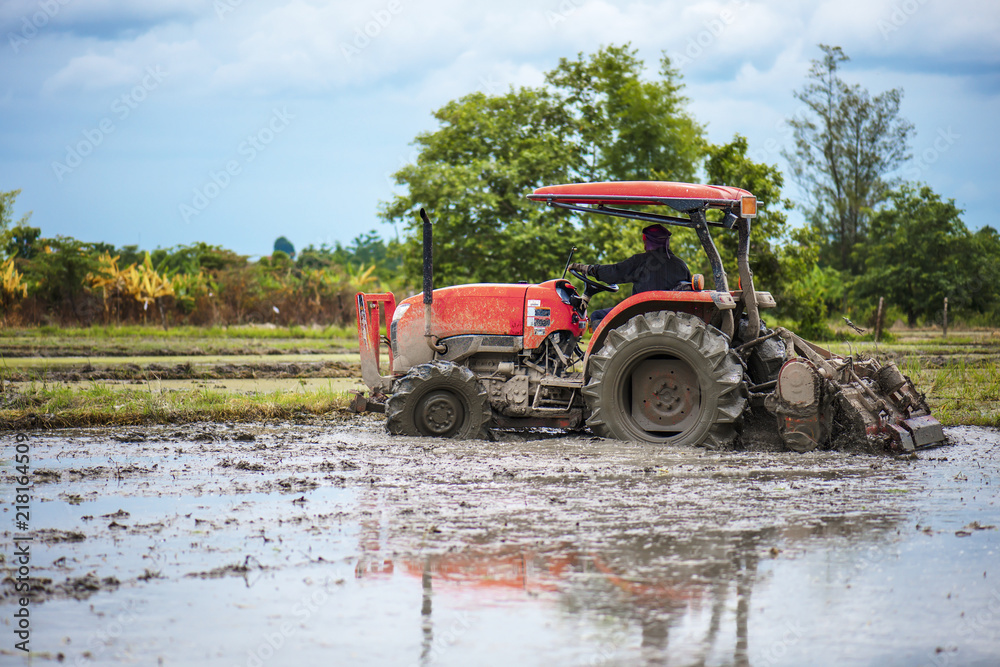 Fototapeta premium tractor is preparing the area for growing rice