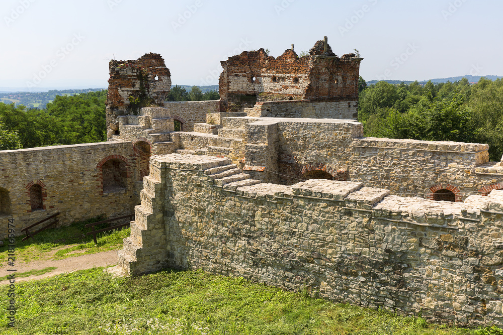 Ruins of 15th century medieval castle, Tenczyn Castle, Polish Jura, Rudno, Poland Ruins of 15th century medieval castle, Tenczyn Castle, Polish Jura, Rudno, Poland