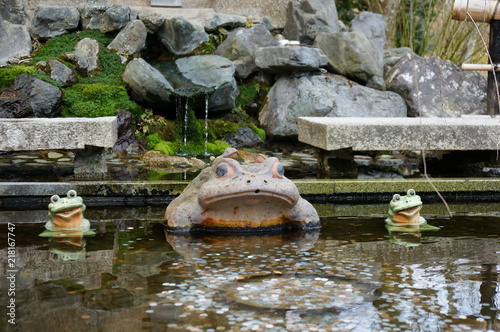 Ornamental Frog in a Pond