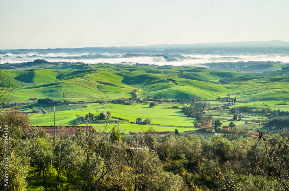 Fototapeta premium countryside cultivated with fog rising in the morning sunlight